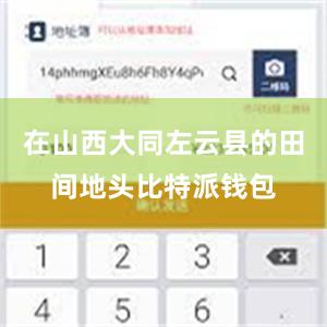 在山西大同左云县的田间地头比特派钱包