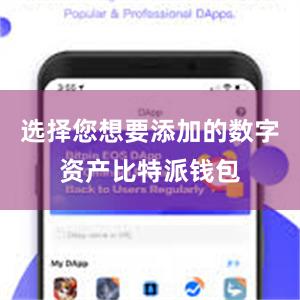 选择您想要添加的数字资产比特派钱包